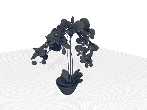 Phalaenopsis Orchid Floral Arrangement in Vase 3D Modell