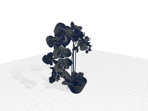Phalaenopsis Orchid Floral Arrangement in Vase 3D Modell