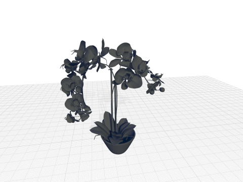 Phalaenopsis Orchid Floral Arrangement in Vase 3D Modell
