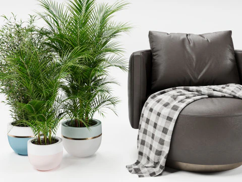 Armchair chair plant 3D Model