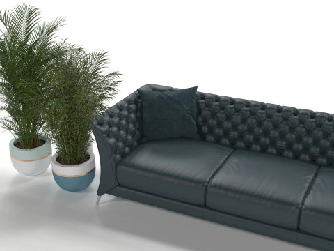 Black sofa plant 3D Model