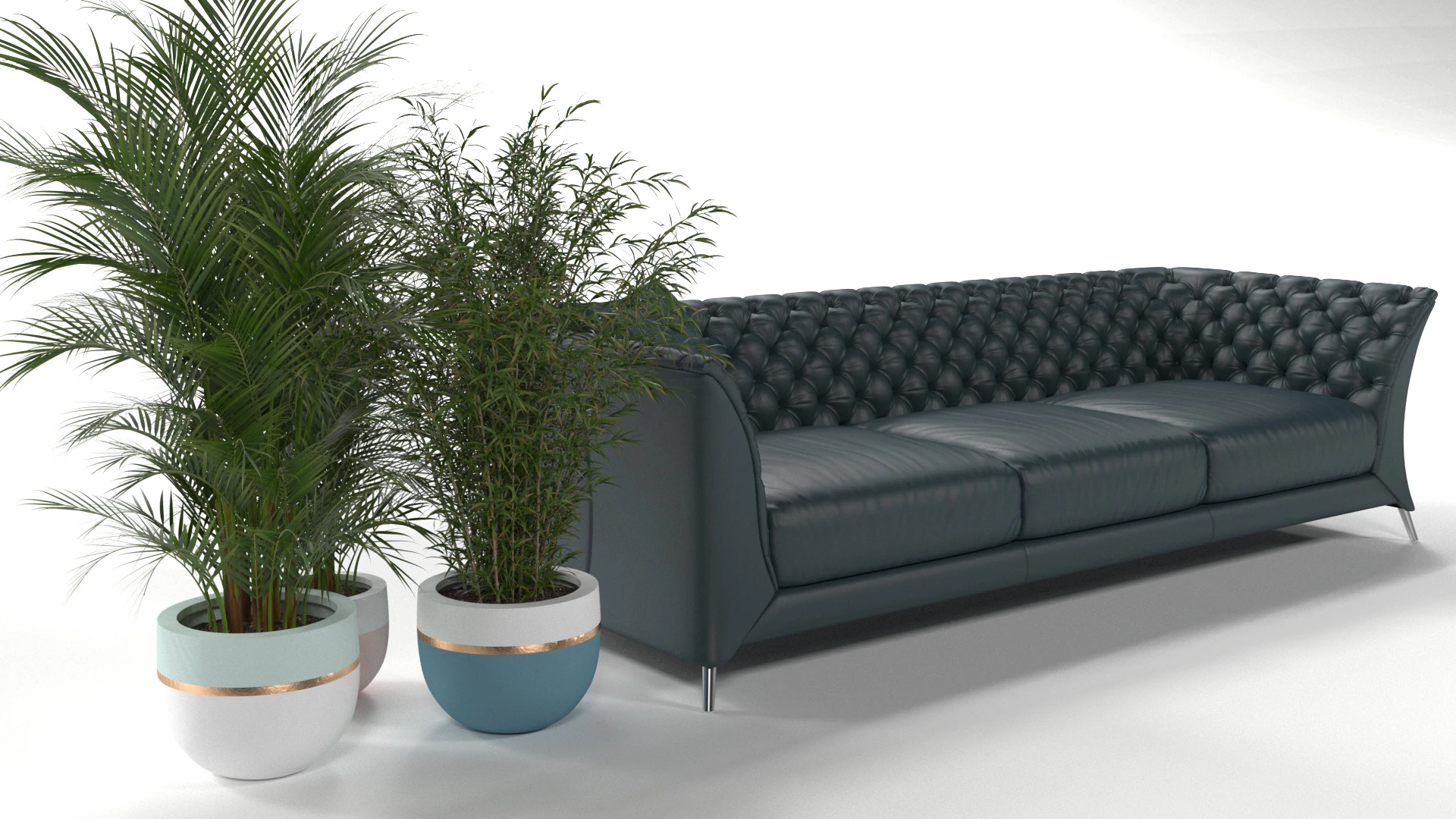Black sofa plant 3D Model .c4d .max .obj .3ds .fbx .stl .blend 