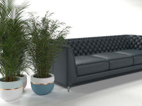 Black sofa plant Modello 3D