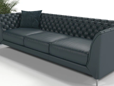 Black sofa plant 3D Model