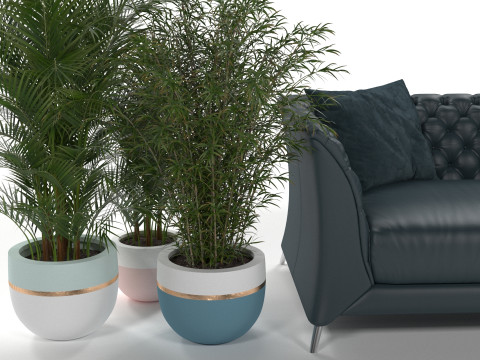 Black sofa plant Modelo 3D