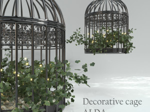decorative cage 3D 모델