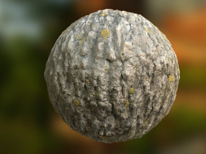 pbr-materials wood in 4k photo textures Tekstur CG