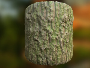 pbr-materials wood in 4k photo textures Tekstur CG