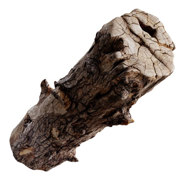 an old wooden log Model 3D .c4d .max .obj .3ds .fbx .stl .blend 