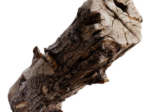 an old wooden log 3D Model