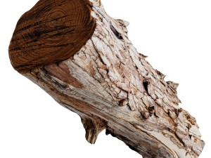 an old wooden log Model 3D