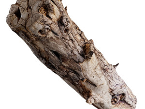 an old wooden log Model 3D