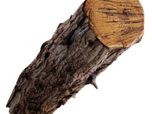 an old wooden log Model 3D