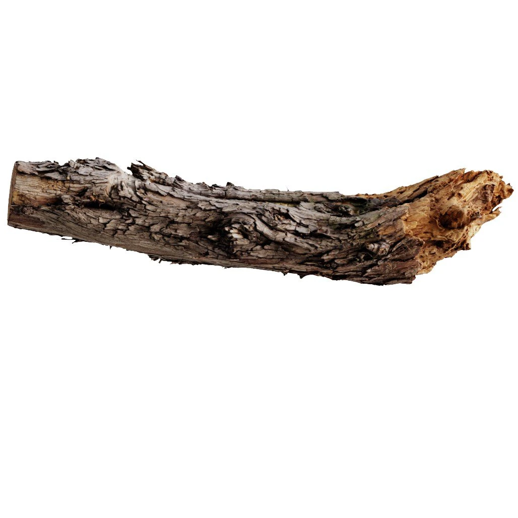 a big old log 3D Model .c4d .max .obj .3ds .fbx .stl .blend