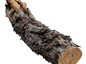 a big old log 3D Model