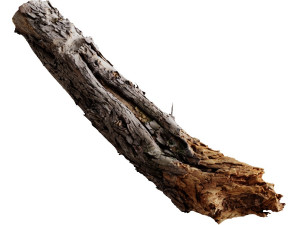 a big old log 3D 모델