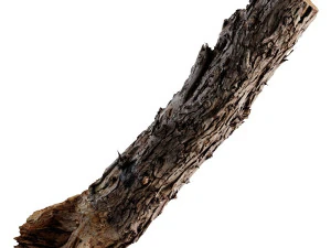 a big old log 3D Model