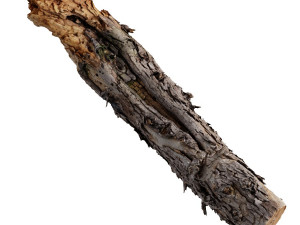 a big old log 3D 모델