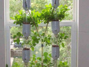 demeter farm hydroponics accessible and easy from your home Model do druku 3D