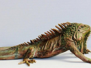 the sculpture iguana Modelo 3D