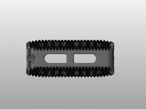 vertebral implants lumbar cage m4 thread real operation 3D Model