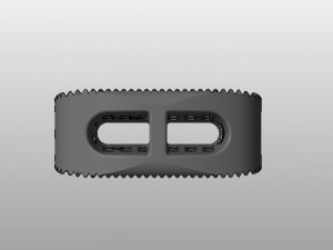 vertebral implants lumbar cage m4 thread real operation 3Dモデル