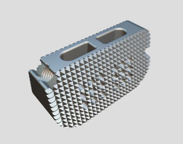 vertebral implants lumbar cage m4 thread real operation 3Dモデル .c4d .max .obj .3ds .fbx .stl .blend 