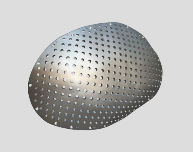 the plate for cranioplasty real example 3D 모델 .c4d .max .obj .3ds .fbx .stl .blend 