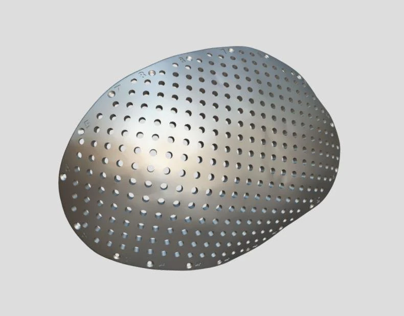 the plate for cranioplasty real example 3D Model .c4d .max .obj .3ds .fbx .stl .blend 