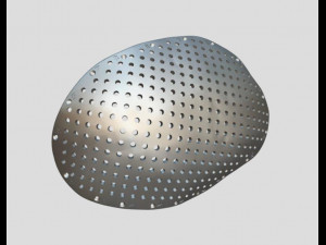 the plate for cranioplasty real example 3D Model