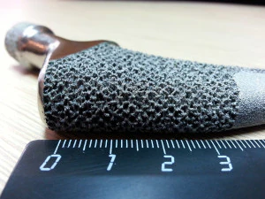 tibia implant real model for training 3D Model