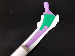 tibia implant real model for training 3D Model