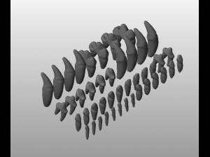 the demo model for endodontics 3D Модель