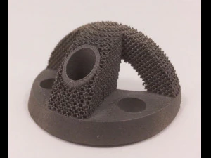 individual acetabulum augment 3D Print Model