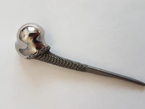 protetyka kot&oacute;w jest przykładem prawdziwej operacji Model do druku 3D