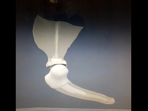 prosthetics of the cats shoulder an example of a real operation 3D Print Model