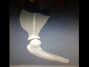 prosthetics of the cats shoulder an example of a real operation 3D Print Model
