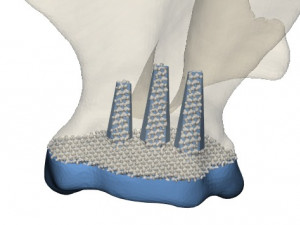 prosthetics of the cats shoulder an example of a real operation 3D Print Model