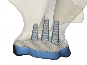 prosthetics of the cats shoulder an example of a real operation 3D Print Model
