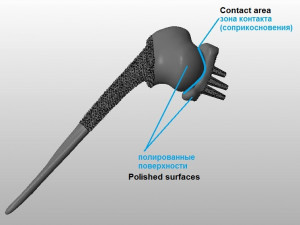 prosthetics of the cats shoulder an example of a real operation 3D Print Model