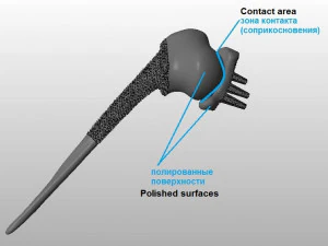 prosthetics of the cats shoulder an example of a real operation 3D Print Model