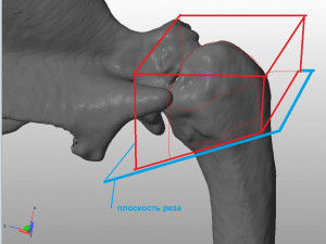 prosthetics of the cats shoulder an example of a real operation 3D Print Model