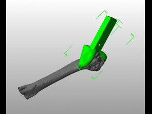 prosthetics of the cats shoulder an example of a real operation 3D Print Model