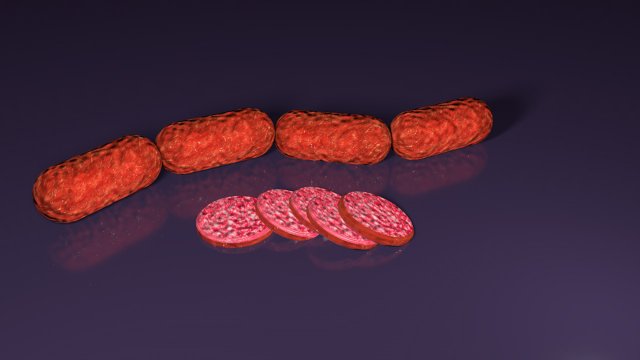 salami 3D Model .c4d .max .obj .3ds .fbx .stl .blend 
