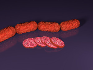 salami 3D Model