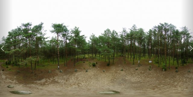In woods 3D Model .c4d .max .obj .3ds .fbx .stl .blend 