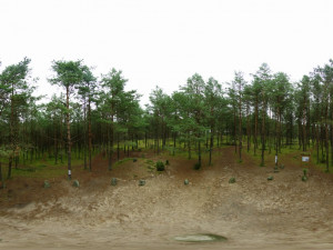 In woods 3Dモデル