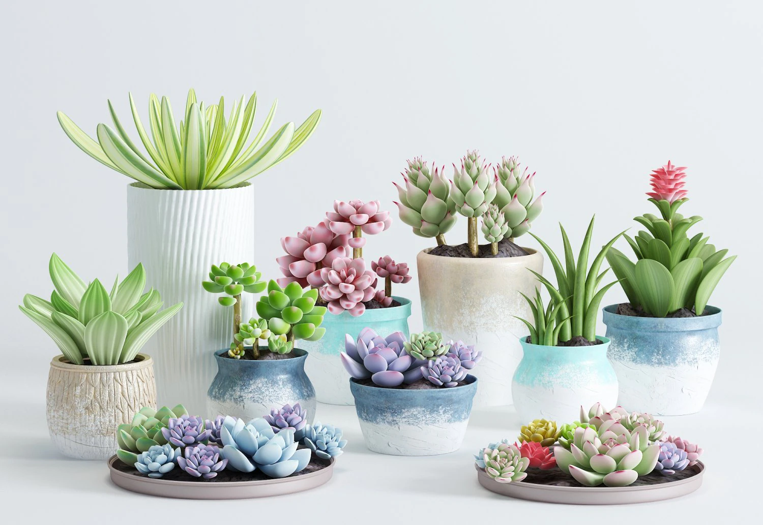 delicate succulent pot plant collection 3D Model .c4d .max .obj .3ds .fbx .stl .blend 
