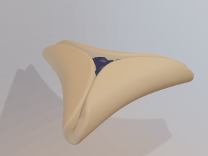 hamantash 3D-Modell