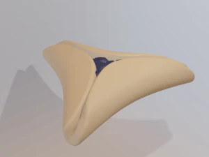 hamantash 3D Model